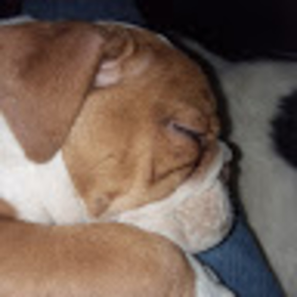 Meet your Posher, Karla